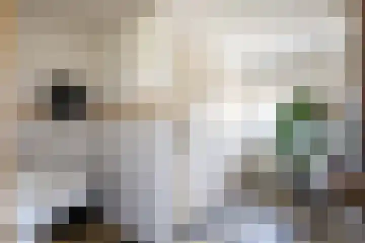 Burchtstraat 12 Middelstum thumbnail 57