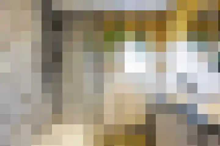 Burchtstraat 12 Middelstum thumbnail 69