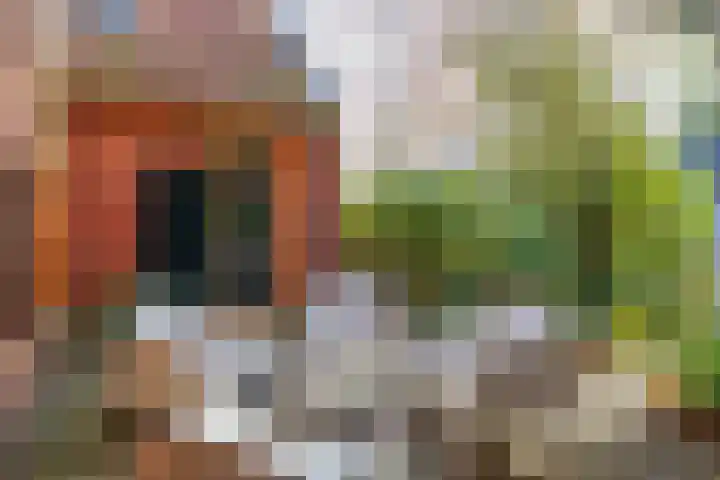 Burchtstraat 12 Middelstum thumbnail 74