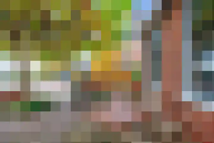 Burchtstraat 12 Middelstum thumbnail 8