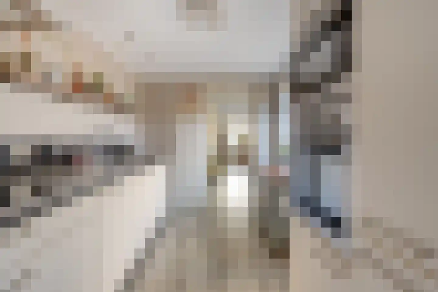 Burchtstraat 12 Tilburg thumbnail 10