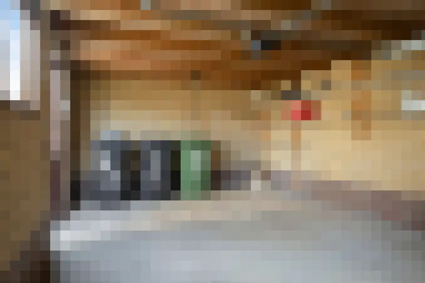 Burchtstraat 15 Aardenburg thumbnail 30