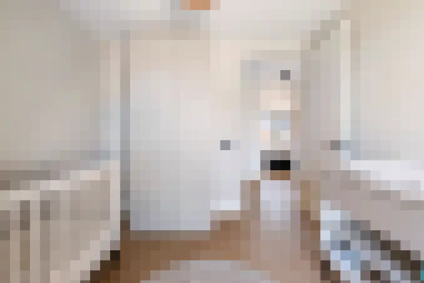 Burchtstraat 2 Julianadorp thumbnail 31