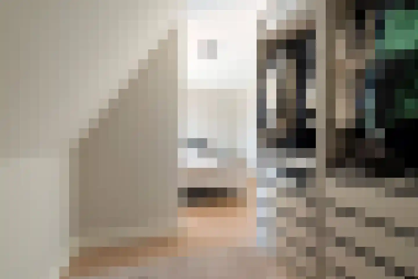 Burchtstraat 2 Julianadorp thumbnail 38