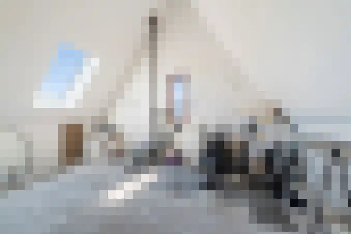 Burchtstraat 2 Julianadorp thumbnail 46