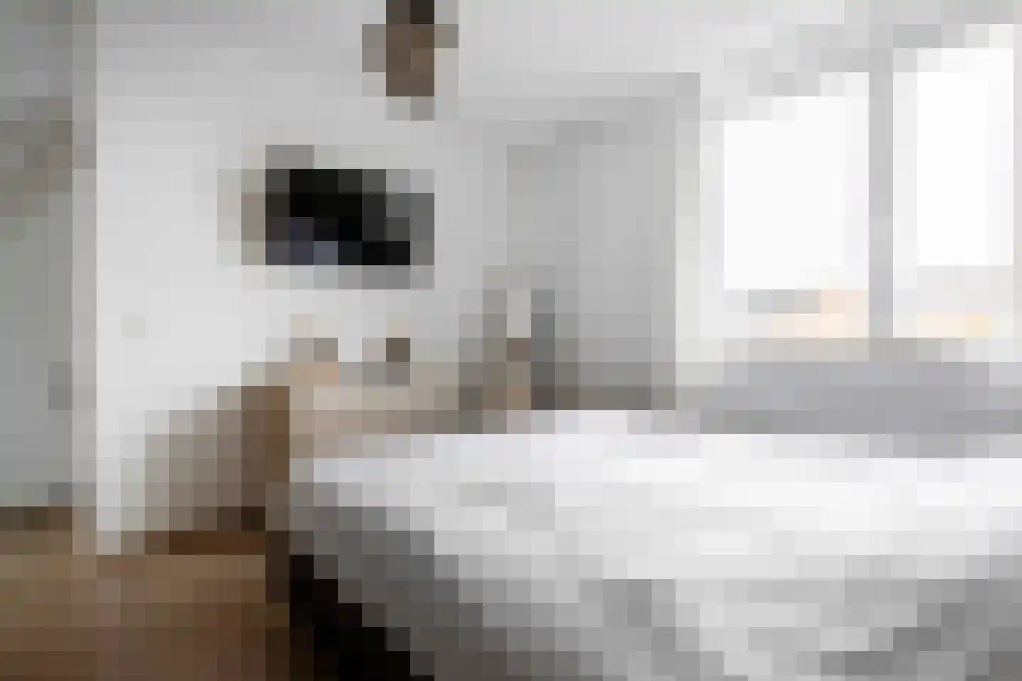 Burchtstraat 21 Bunde thumbnail 26