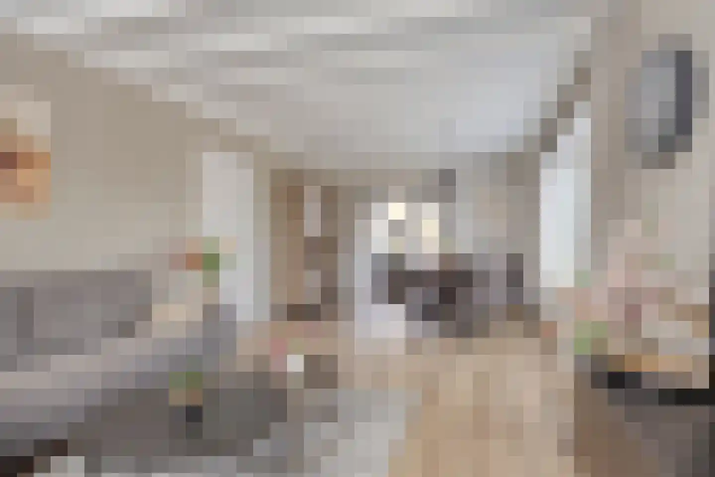 Burchtstraat 22 Herpen thumbnail 11