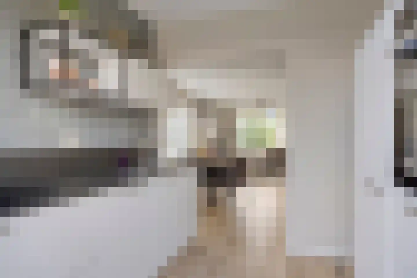Burchtstraat 22 Herpen thumbnail 17