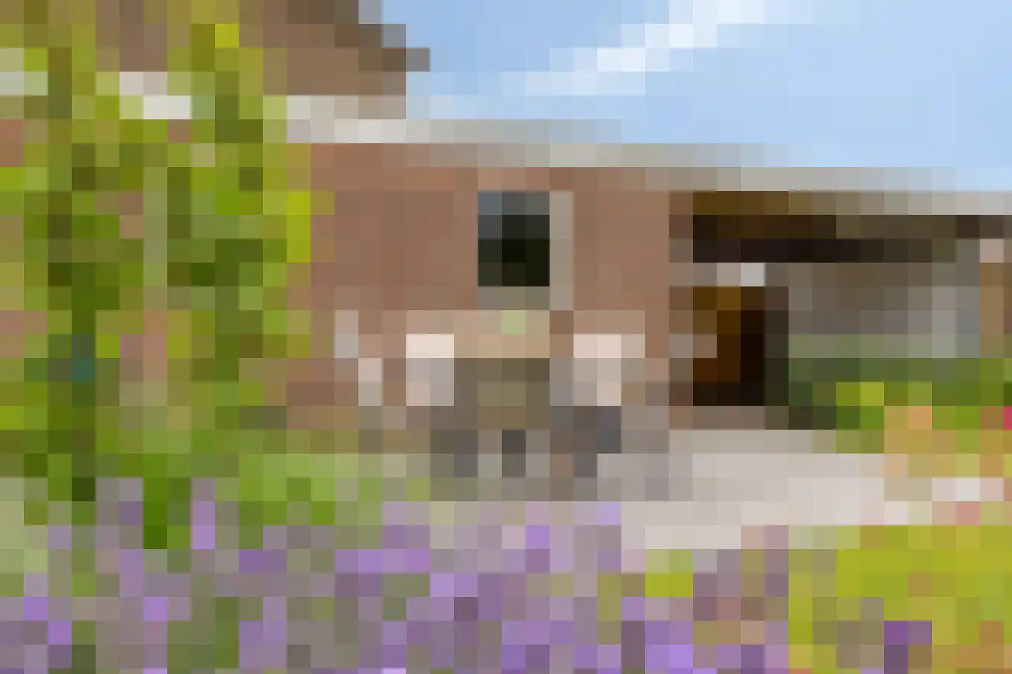 Burchtstraat 22 Herpen thumbnail 30