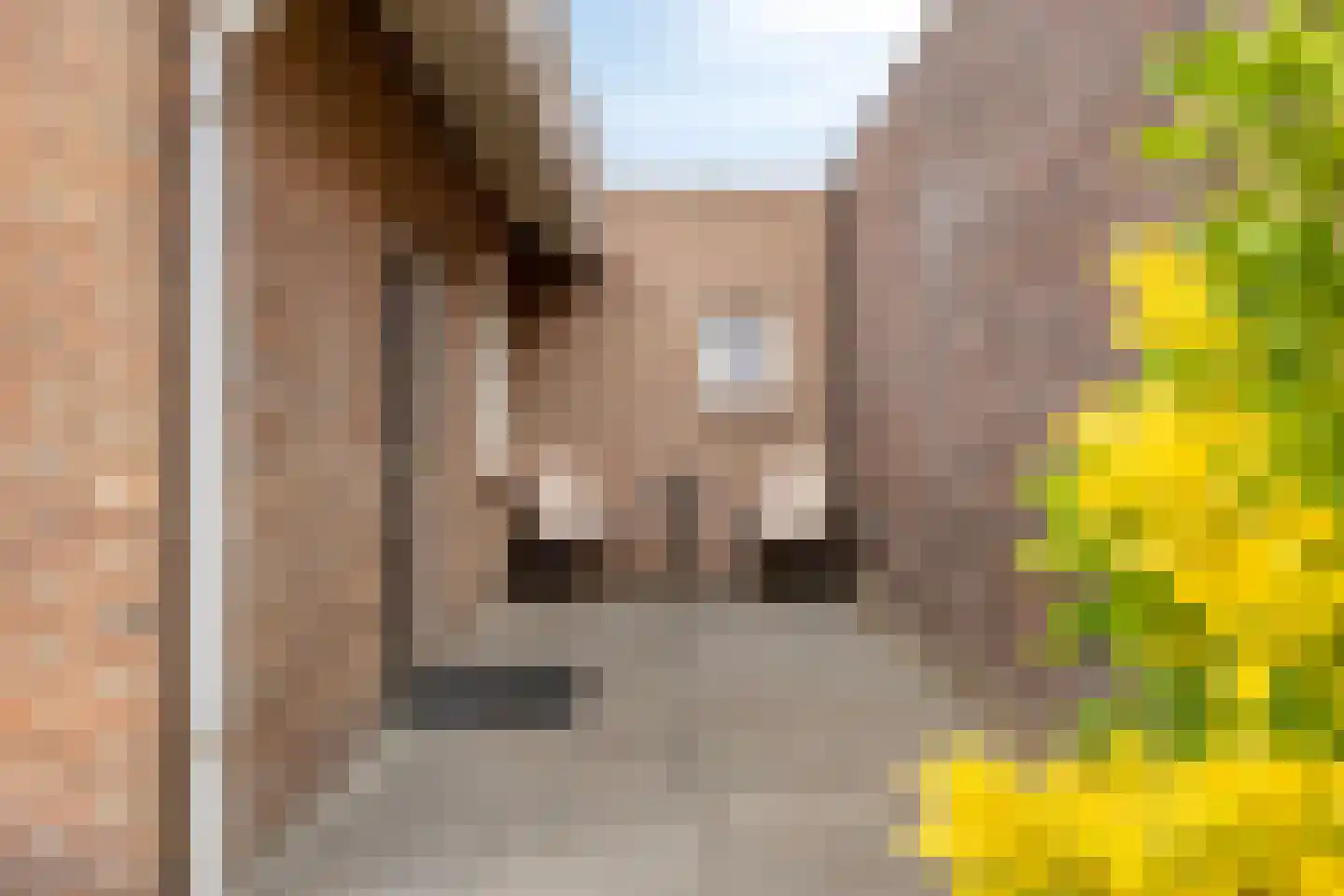 Burchtstraat 22 Herpen thumbnail 32