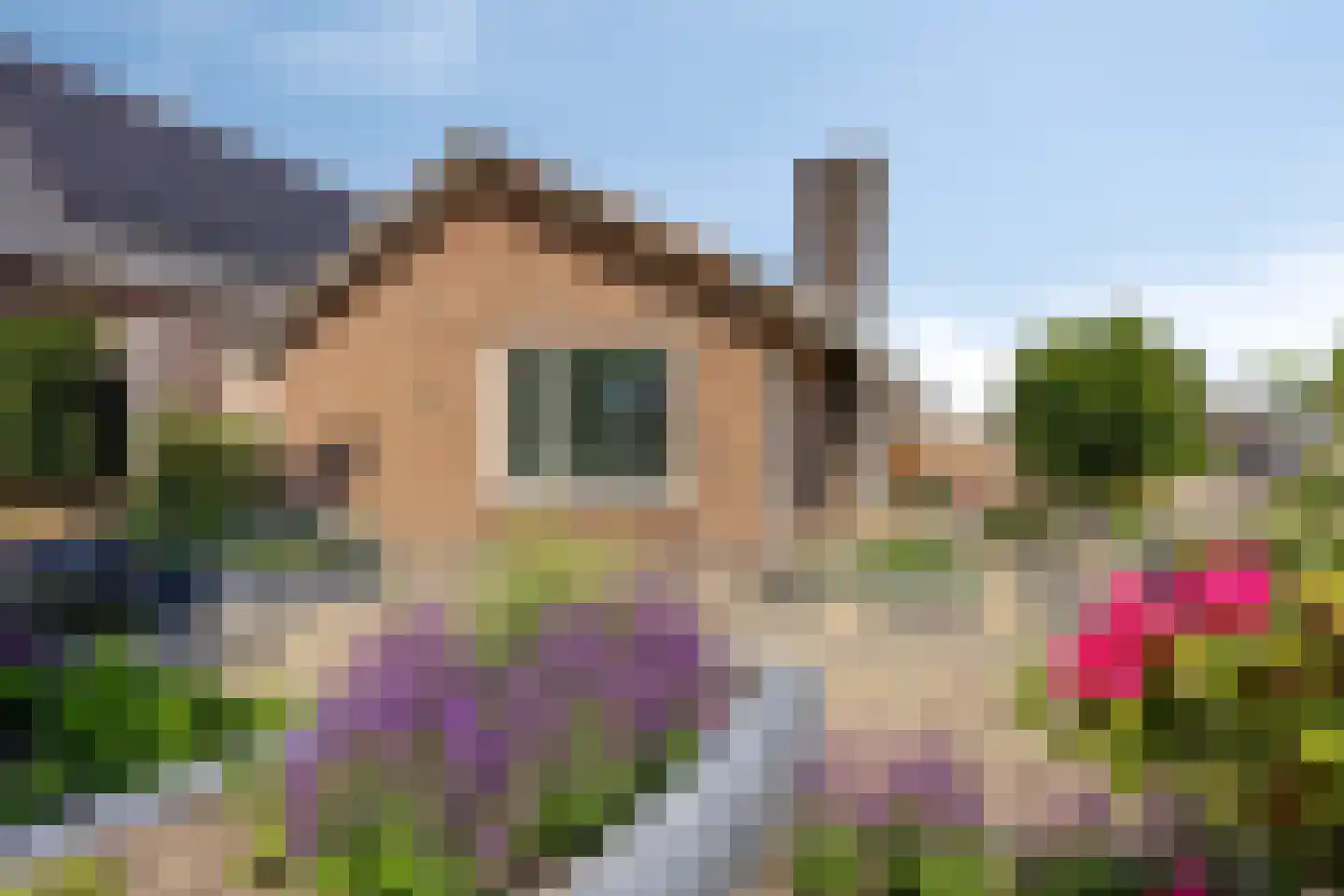 Burchtstraat 22 Herpen thumbnail 44
