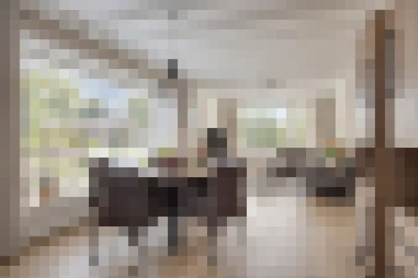 Burchtstraat 22 Herpen thumbnail 8