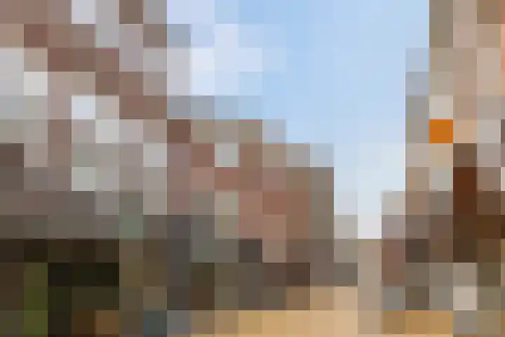 Burchtstraat 4 1 Groningen thumbnail 23