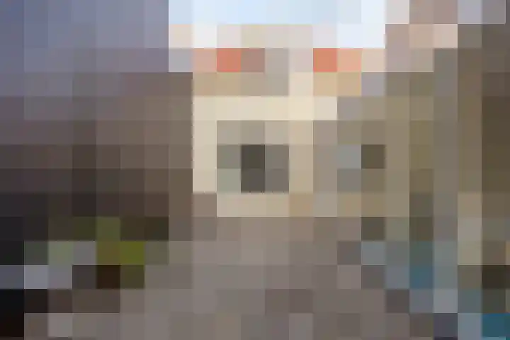 Burchtstraat 4 2 Groningen thumbnail 22
