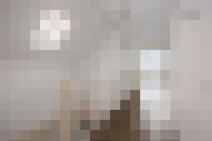 Burchtstraat 4 2 Groningen thumbnail 5