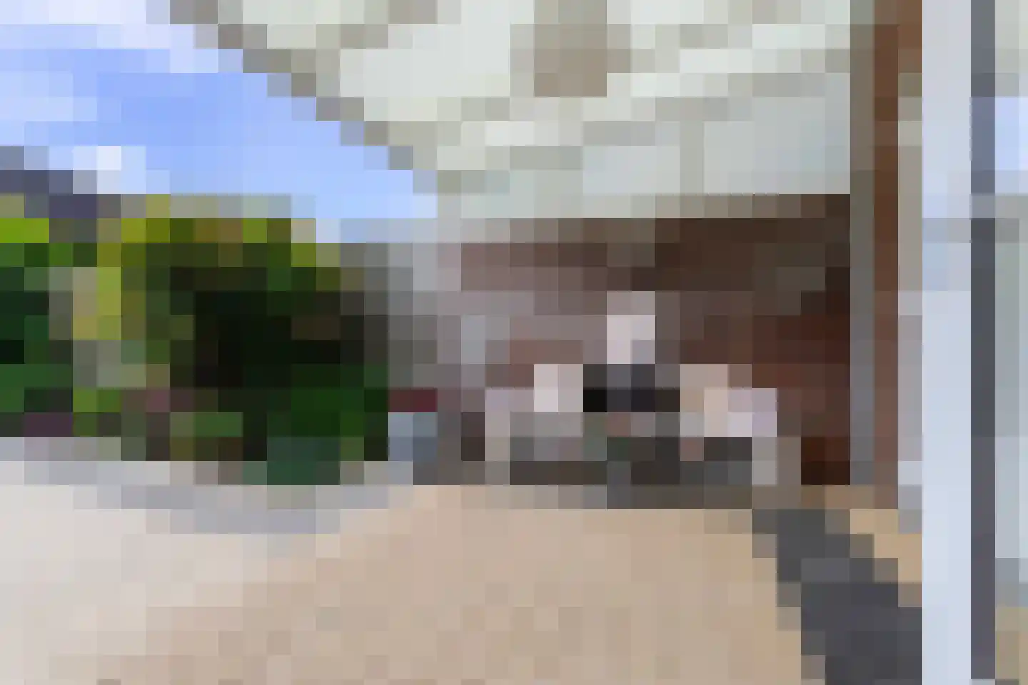 Burchtstraat 40 Bunde thumbnail 30