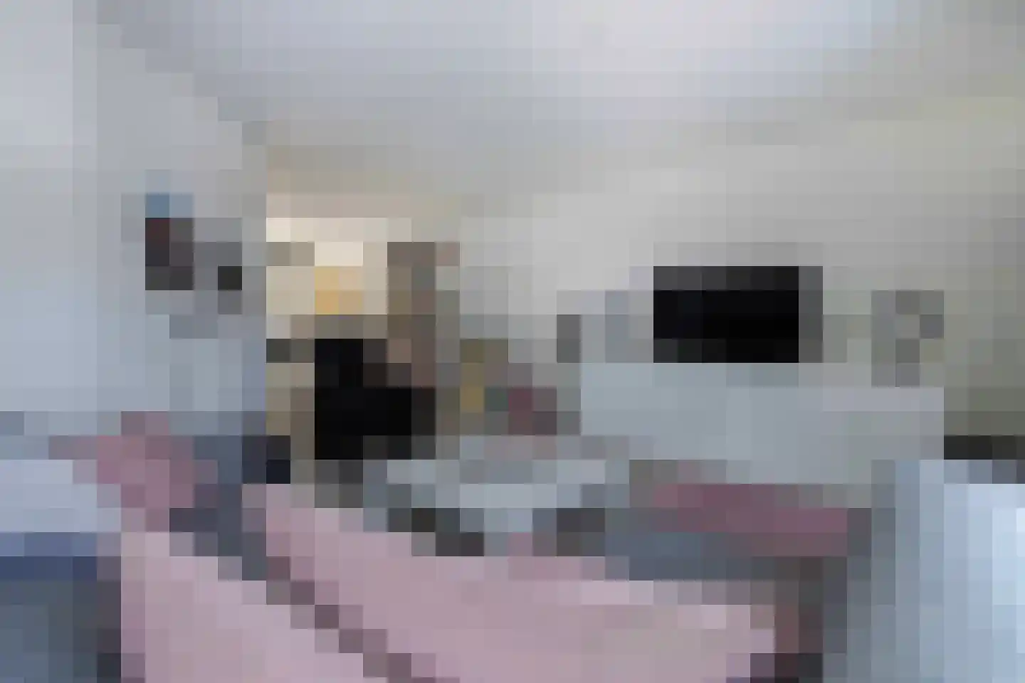 Burchtstraat 40 Bunde thumbnail 8
