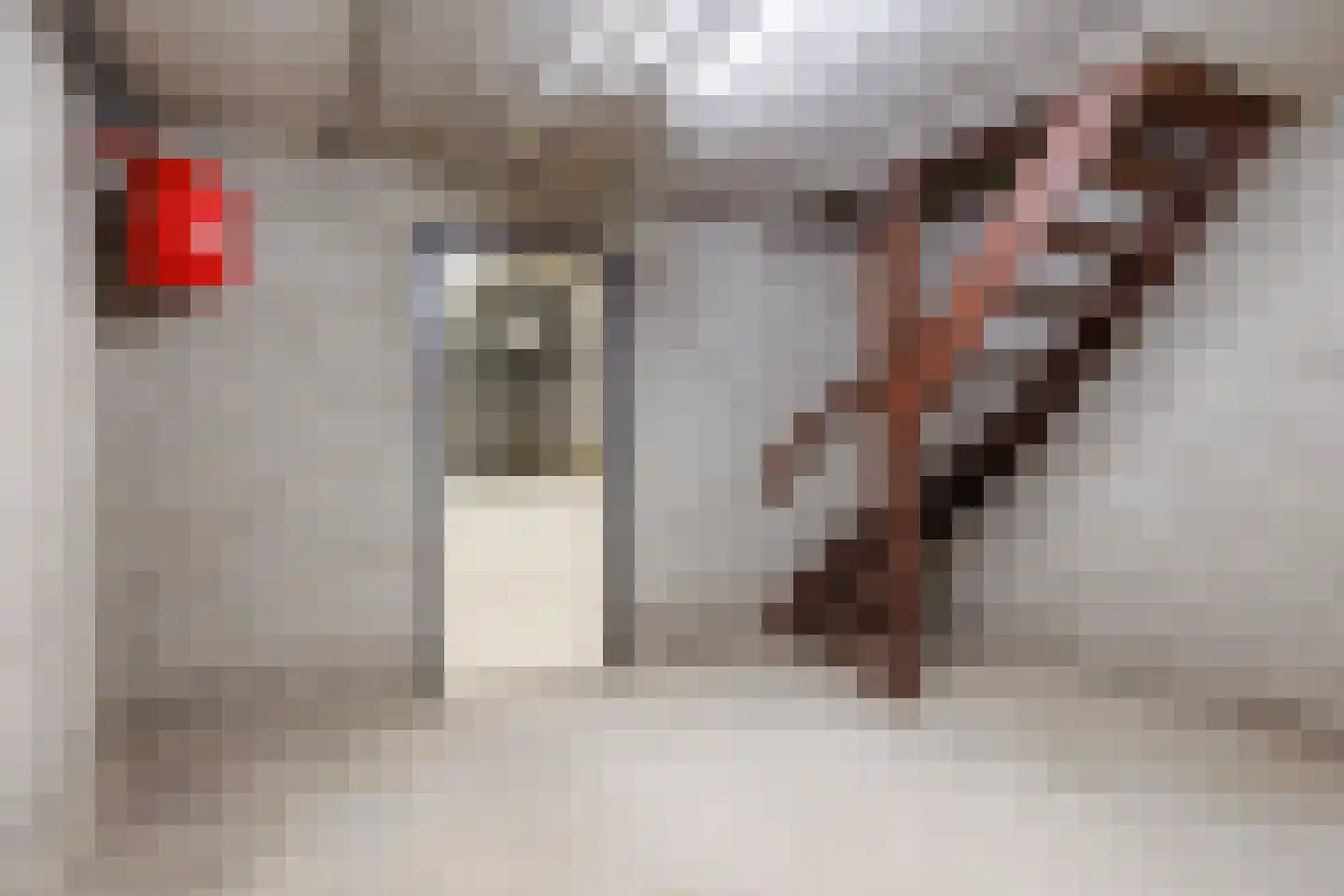 Burchtstraat 47 Middelaar thumbnail 36