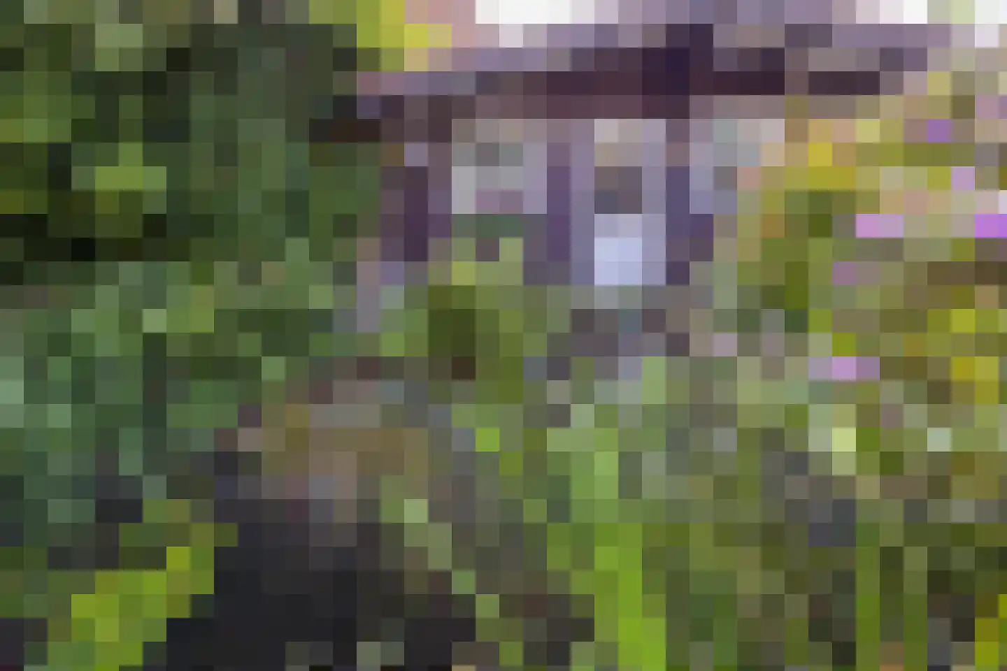Burchtstraat 47 Middelaar thumbnail 45