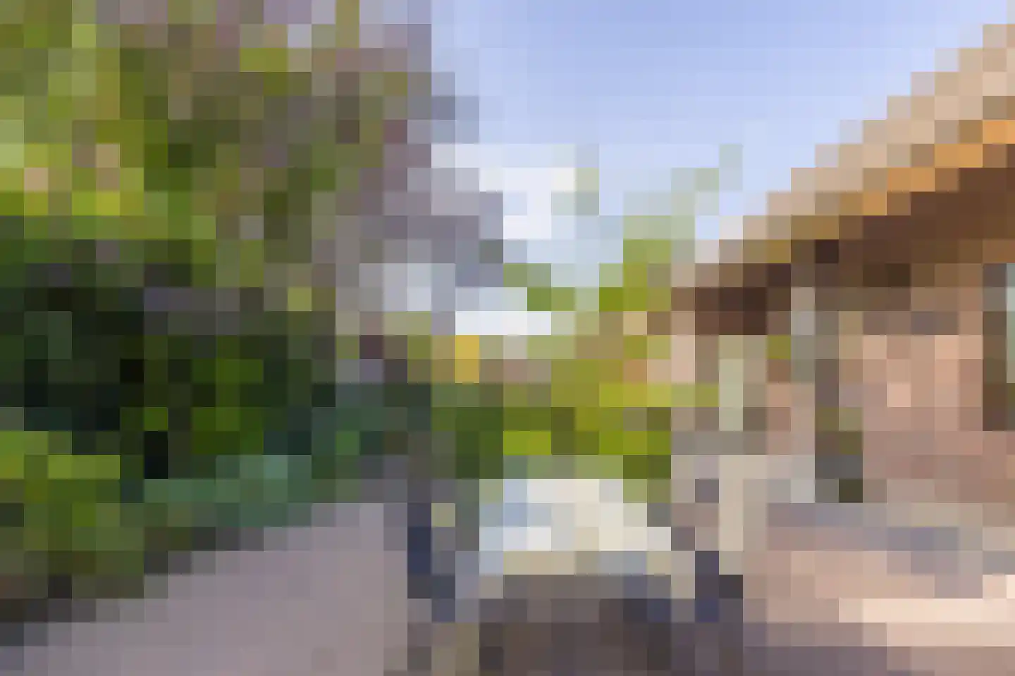 Burchtstraat 47 Middelaar thumbnail 52