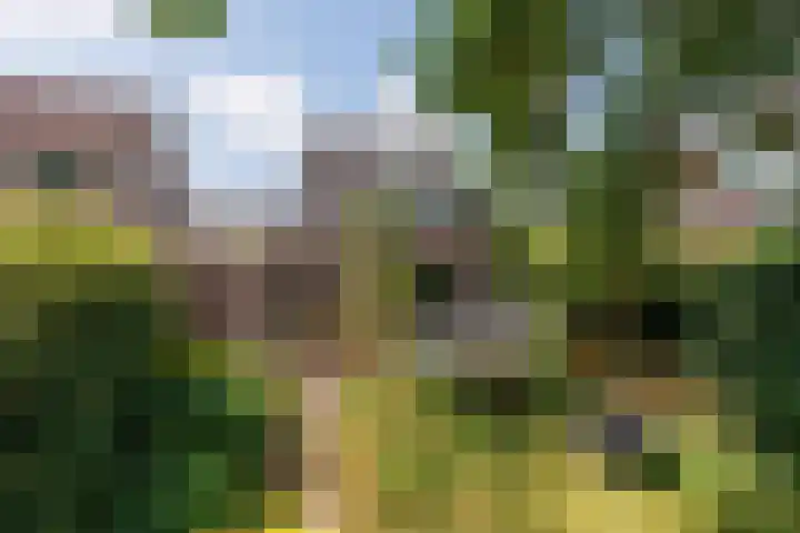 Burchtstraat 48 Middelaar thumbnail 4