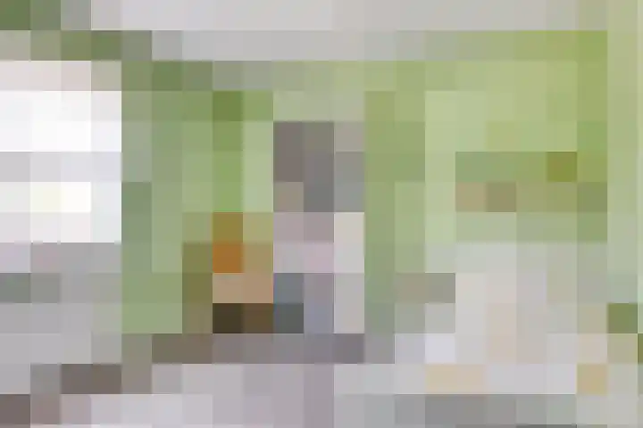 Burchtstraat 6 Zuilichem thumbnail 25