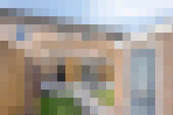 Burchtstraat 6 Zuilichem thumbnail 32