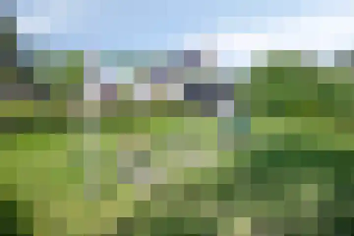 Burchtstraat 6 Zuilichem thumbnail 34