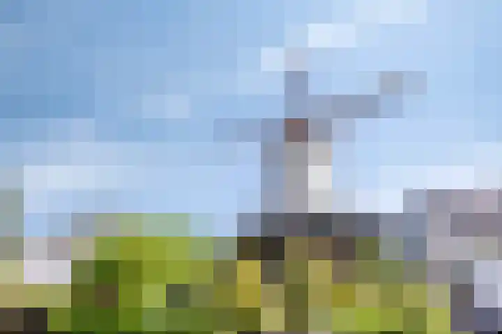 Burchtstraat 6 Zuilichem thumbnail 36