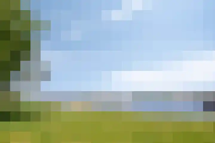 Burchtstraat 6 Zuilichem thumbnail 37