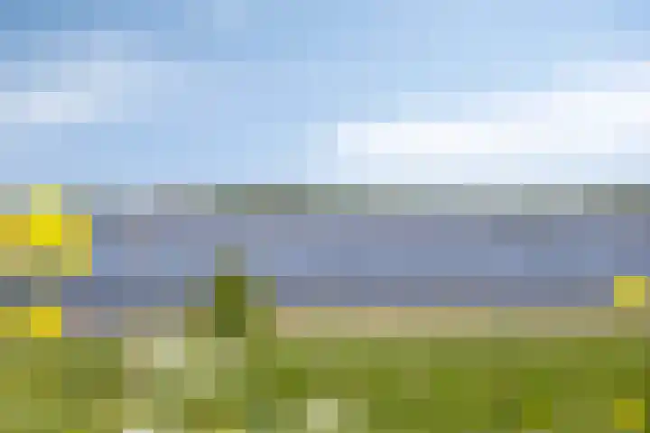Burchtstraat 6 Zuilichem thumbnail 39