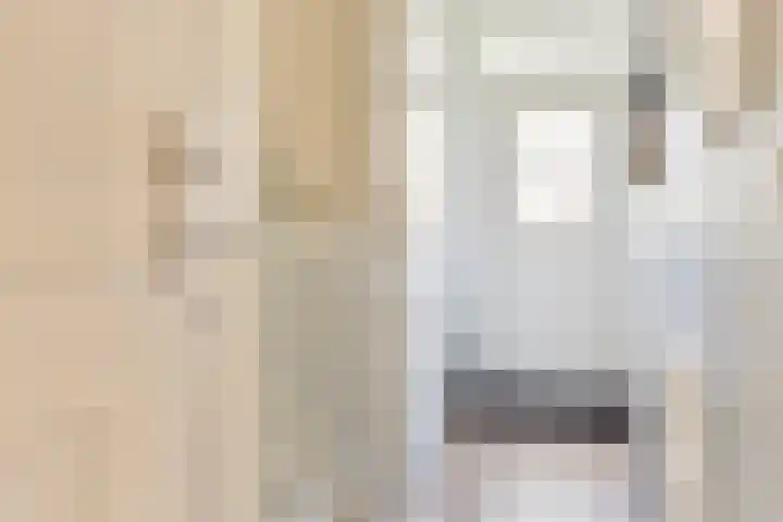 Burchtstraat 6 Zuilichem thumbnail 6