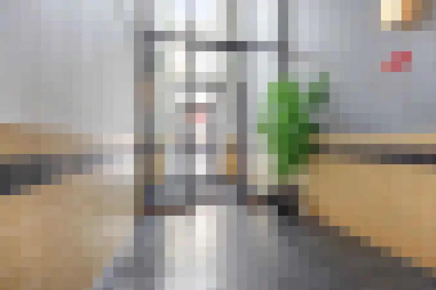 Burchtstraat 68 Nijmegen thumbnail 7