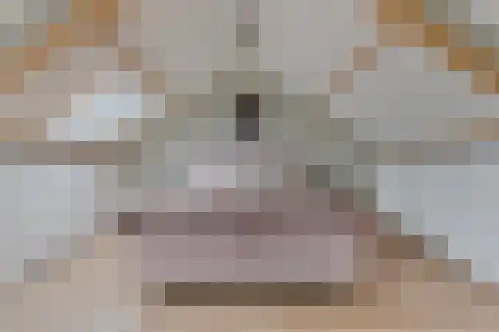 Burchtstraat 8 Zuilichem thumbnail 29