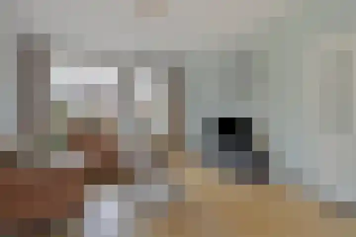 Burchtstraat 8 Zuilichem thumbnail 8