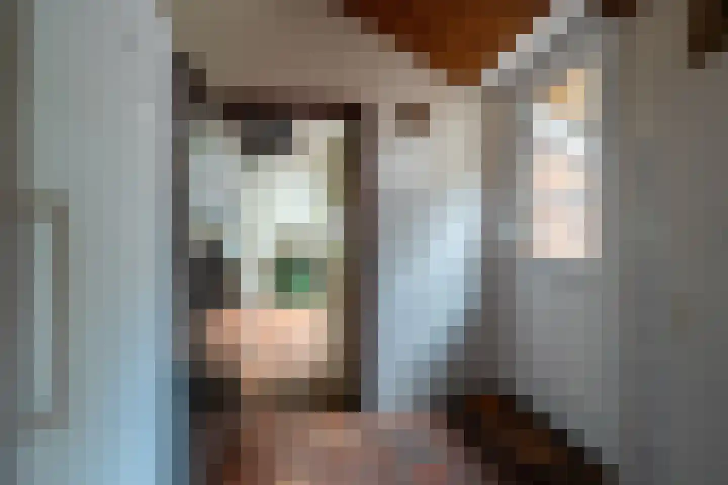 Burchtweg 13 Bunne thumbnail 36