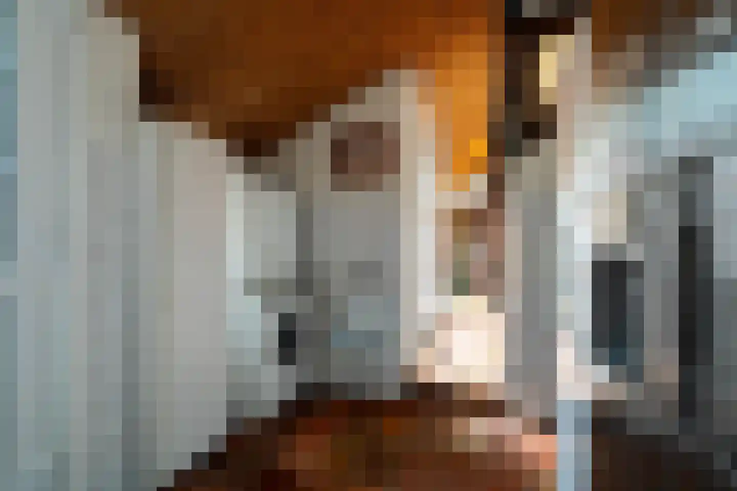 Burchtweg 13 Bunne thumbnail 38