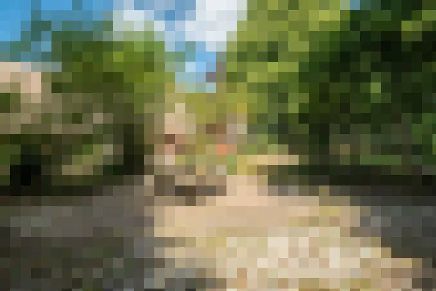 Burchtweg 13 Bunne thumbnail 60