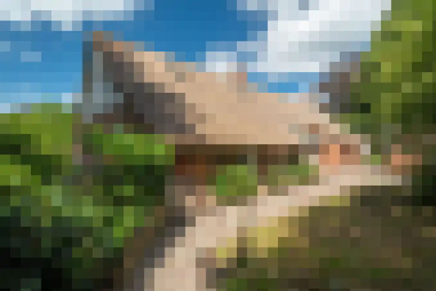Burchtweg 13 Bunne thumbnail 62