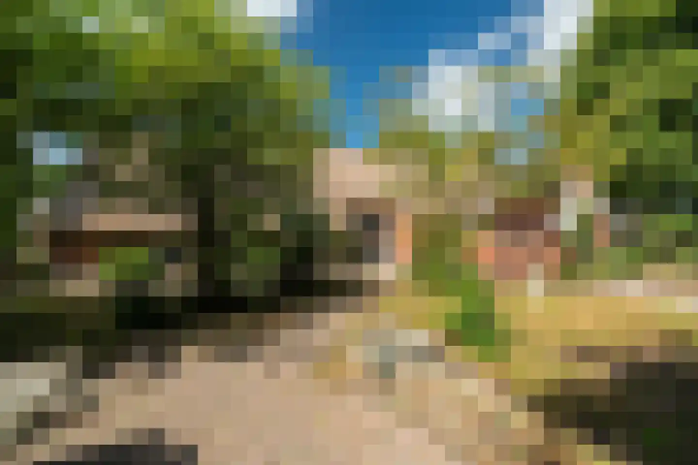 Burchtweg 13 Bunne thumbnail 66