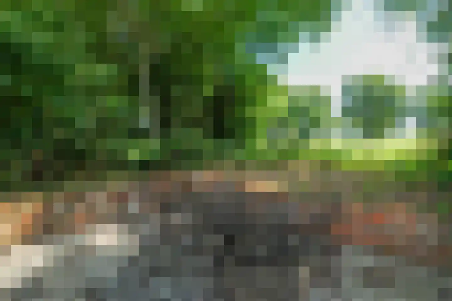 Burchtweg 13 Bunne thumbnail 67