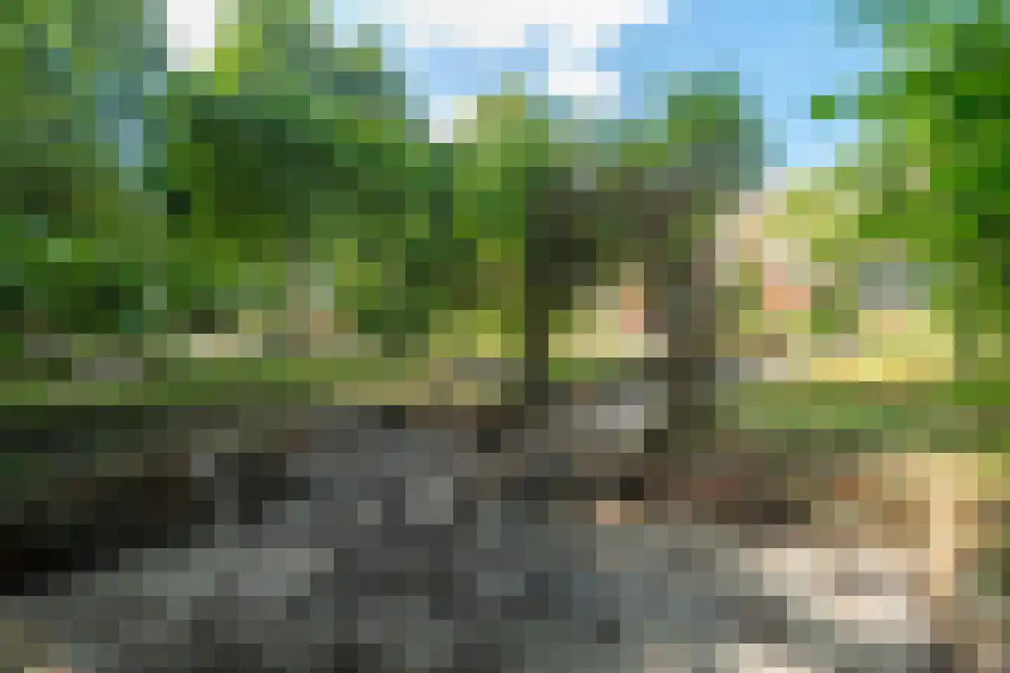 Burchtweg 13 Bunne thumbnail 69
