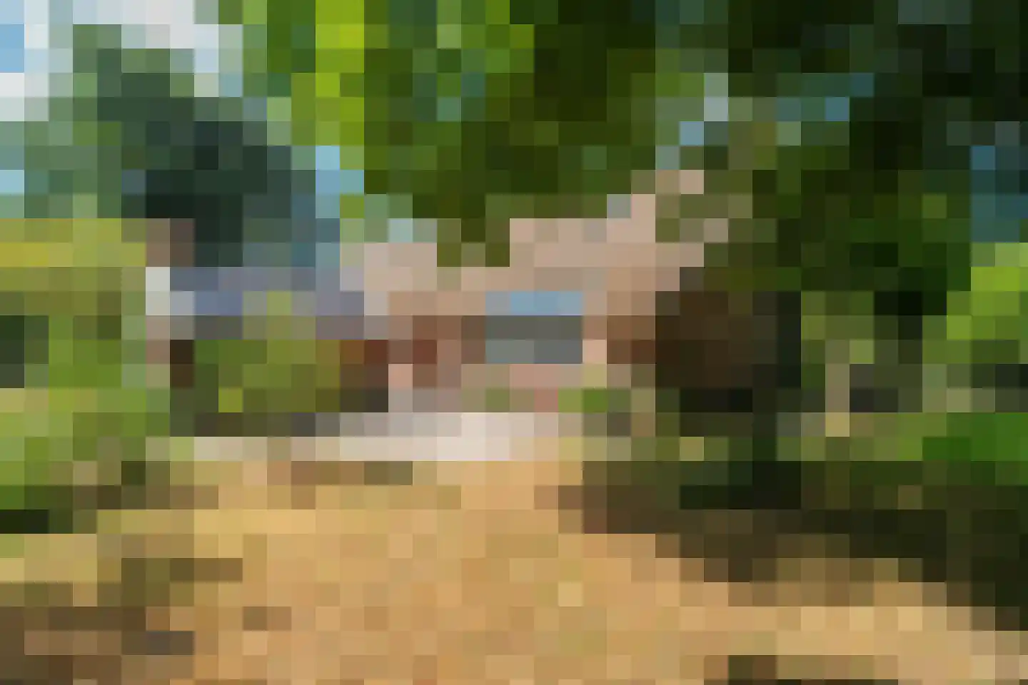 Burchtweg 13 Bunne thumbnail 70