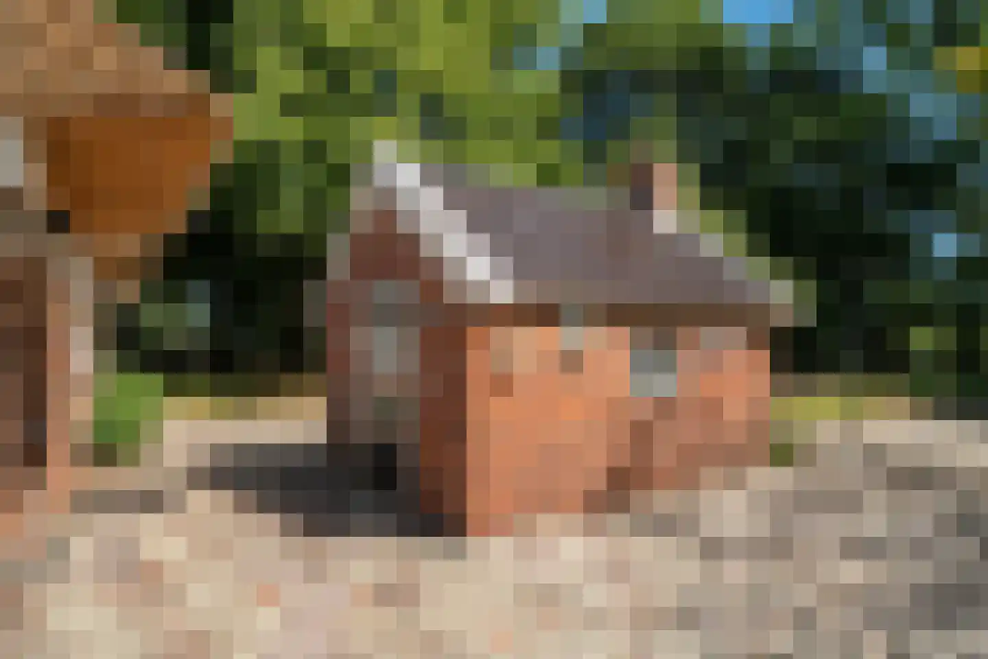 Burchtweg 13 Bunne thumbnail 72