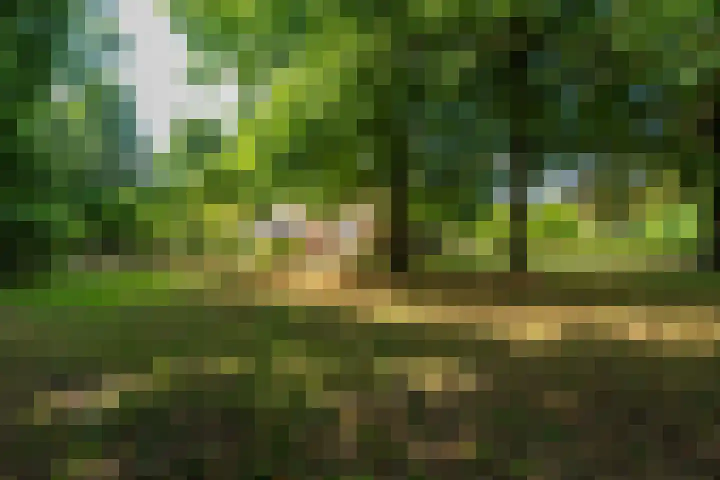 Burchtweg 13 Bunne thumbnail 75