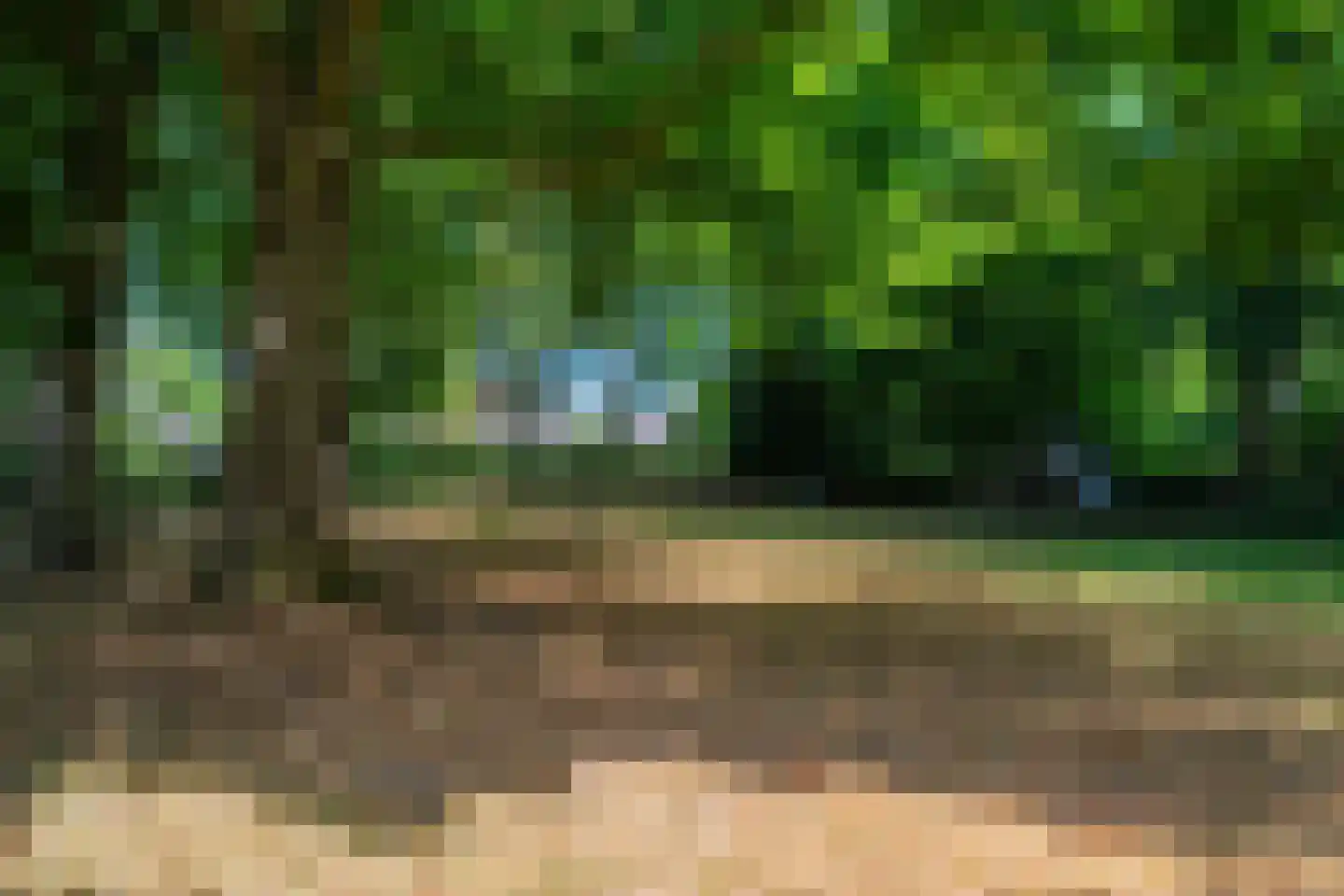 Burchtweg 13 Bunne thumbnail 76