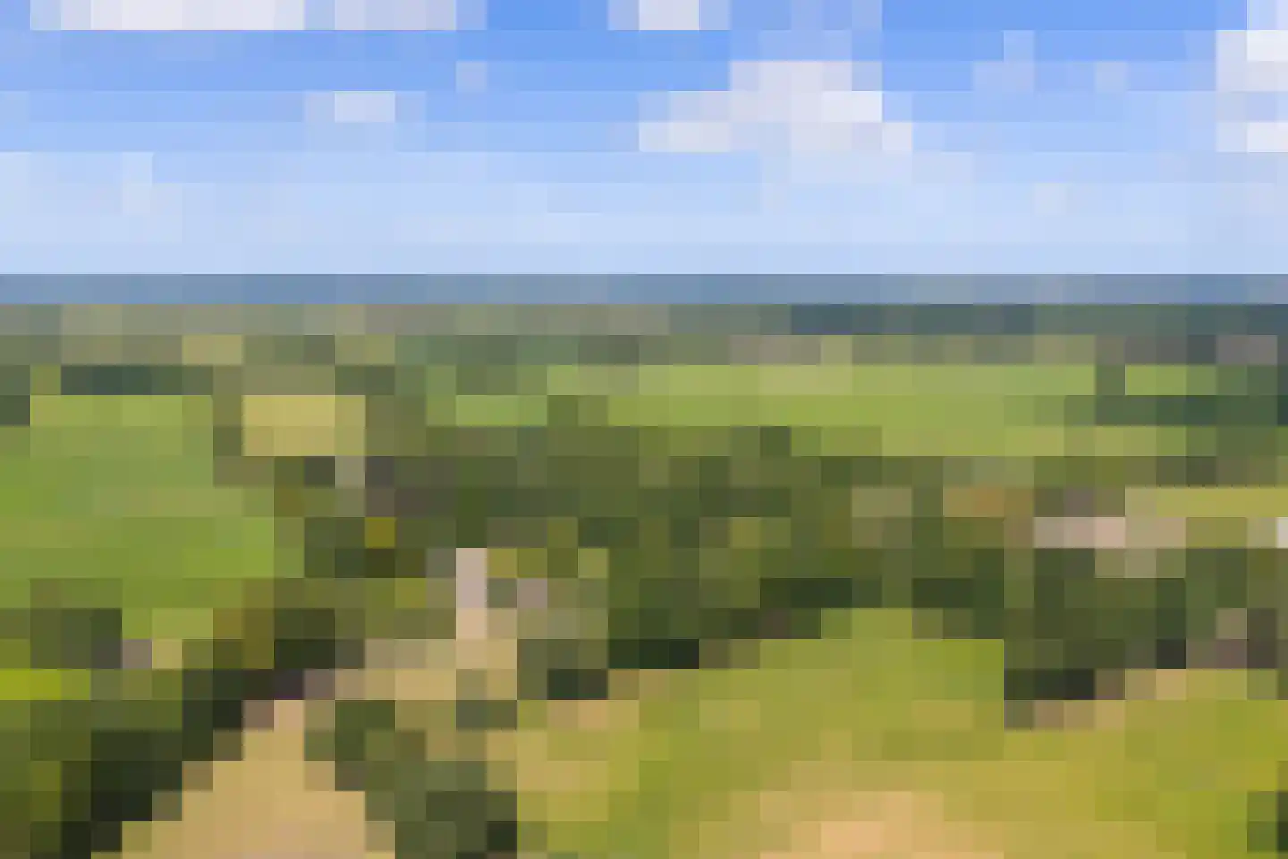 Burchtweg 13 Bunne thumbnail 78