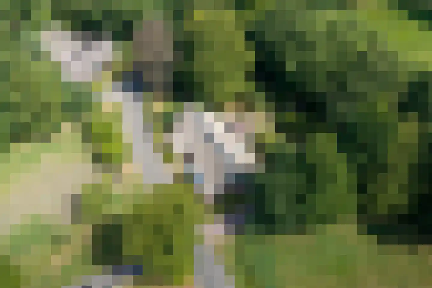 Burchtweg 13 Bunne thumbnail 81