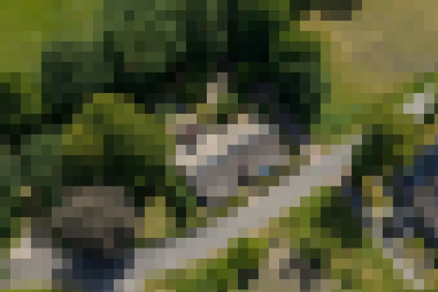 Burchtweg 13 Bunne thumbnail 82