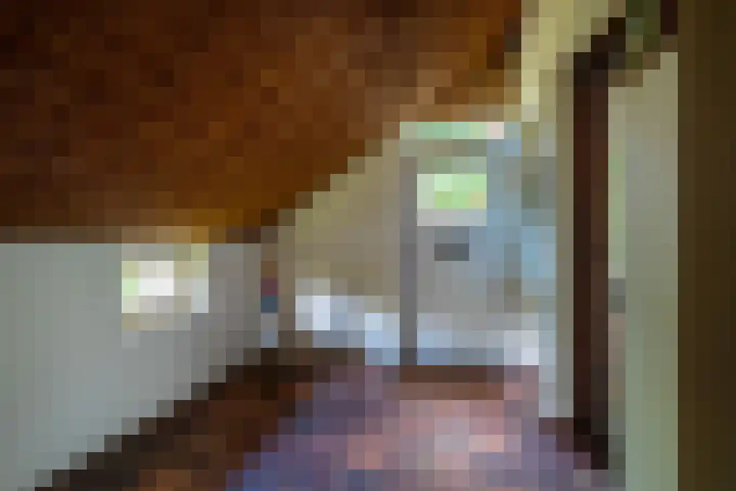 Burchtweg 13 Bunne thumbnail 9